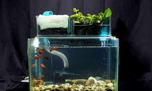 filter for aquarium